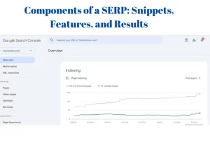 Understanding SERPs